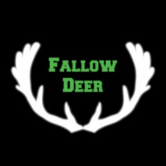 Fallow Deer