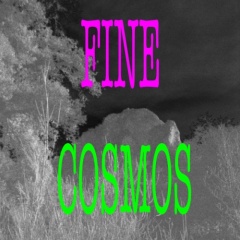 Fine Cosmos