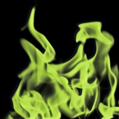 Firebird