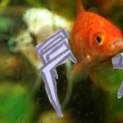FiSHB4TiCuS