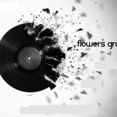 Flowers Groove