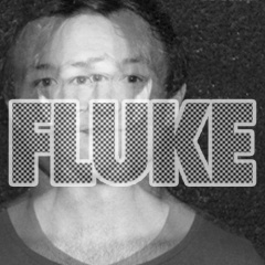 Fluke
