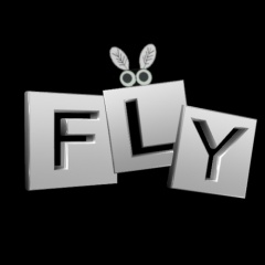 Flyside