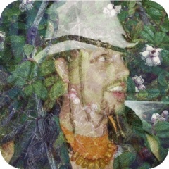 Forage