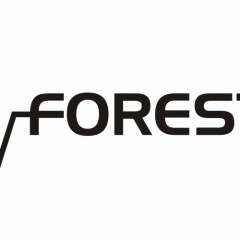 Forest B