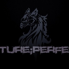 Future Perfect