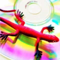 DJ Gecko