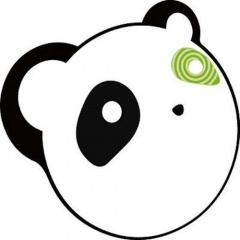 George Kallas - Drunk Panda