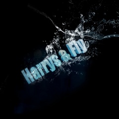 Harrys And Fly