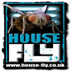 HouseFly