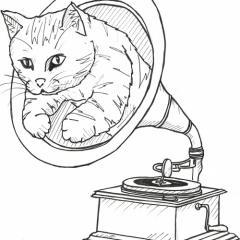 James The Cat