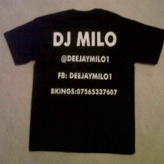 THE DJ MILO (HOUSE CONNECTION)
