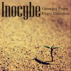 Inocybe