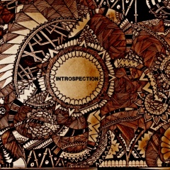 Introspection