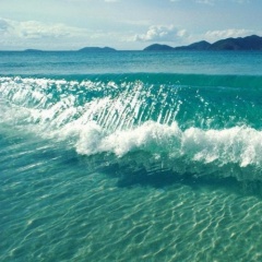 Jack Wave