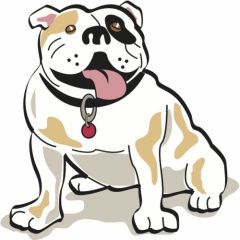Jr.K