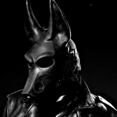KING JACKAL