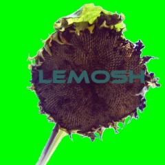 Carlos Lemosh