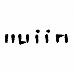 lluiin