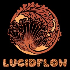 LUCIDFLOW