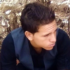 M.Rook