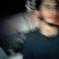 Matteo Pitton