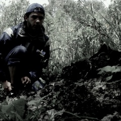Mejican Lost
