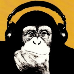 One Crazy Monkey &amp; The Beat Guerrilla