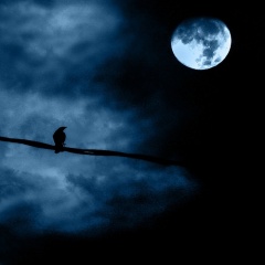 MoonZ