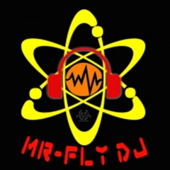 Mr-Fly