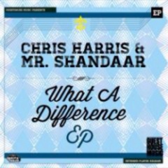 Mr Shandaar