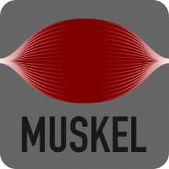 Muskel (Producer/Dj)