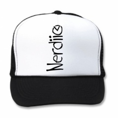 NERDIIO