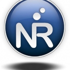 The Nightraiders
