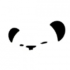 NoizyPanda
