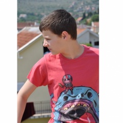 Novak