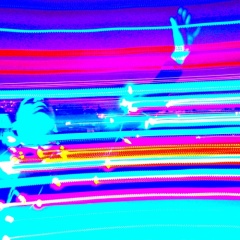 NVRLand