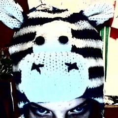 OmfabioTheZebra