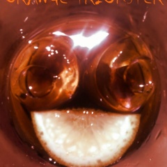 Orange Trickster