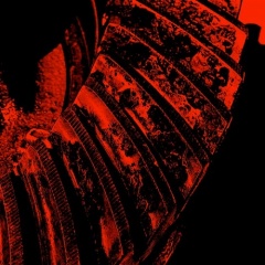 Pinion
