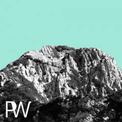 Pleasurewave
