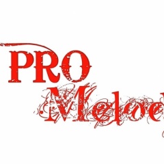 PRO Melody