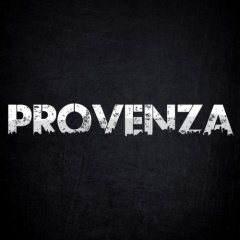 Henrique Provenza