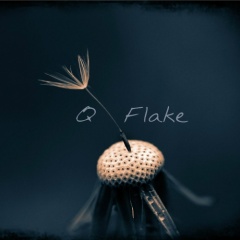 Q Flake