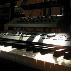 Quantum Harmonics