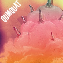 Qumquat