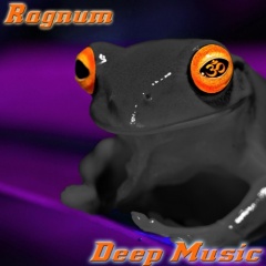 Ragnum Triptychon Records