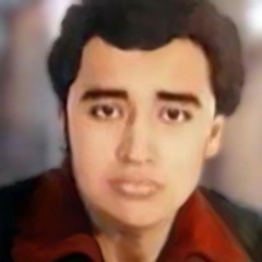 Raul Villanero