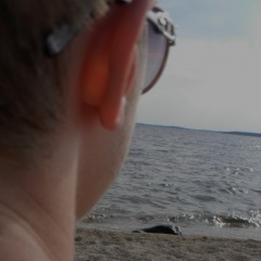 ReptileSergey