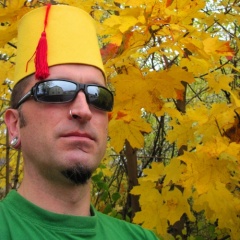 Robbing Hood